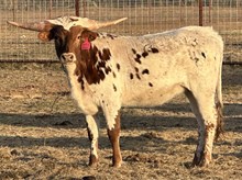 BR Playing with Fire