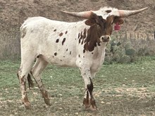 BR Playing with Fire