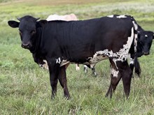 JM Little Less Dramatic