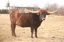 KCCI Twisted Reality